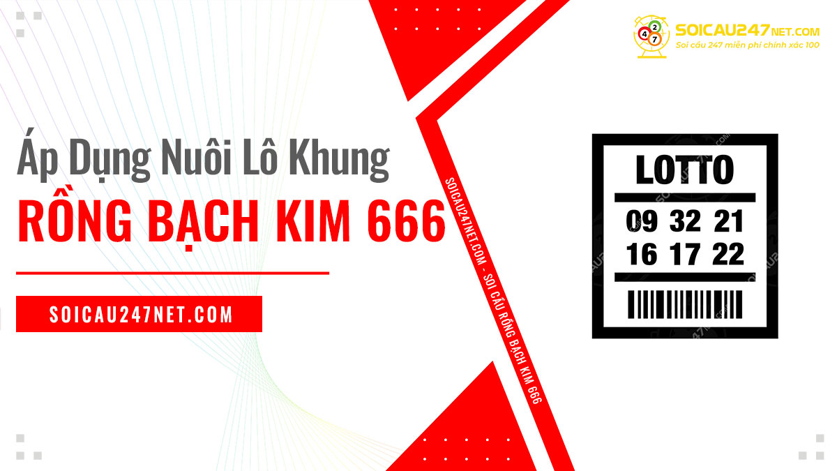 Soi cầu rồng bạch kim 666 từ phương pháp nuôi lô khung 247